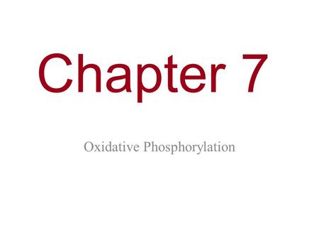 Chapter 7 Oxidative Phosphorylation. You Must Know How electrons from NADH and FADH 2 are passed to a series of electron acceptors to produce ATP by chemiosmosis.