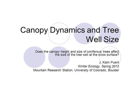 Canopy Dynamics and Tree Well Size Does the canopy height and size of coniferous trees affect the size of the tree well at the snow surface? J. Kalin Puent.