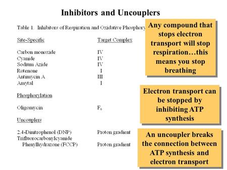Inhibitors and Uncouplers Any compound that stops electron transport will stop respiration…this means you stop breathing Electron transport can be stopped.