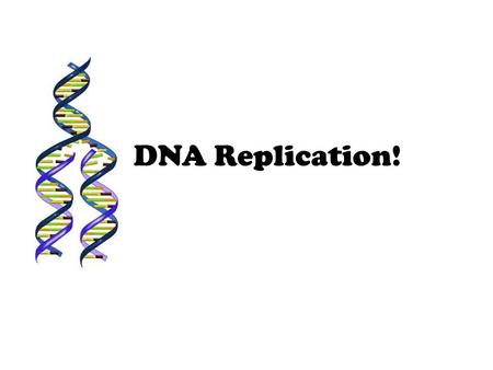 DNA Replication!.