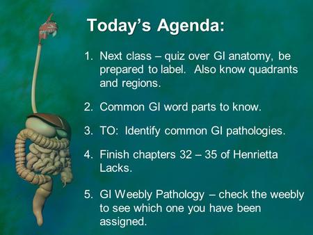 Today’s Agenda: Next class – quiz over GI anatomy, be prepared to label. Also know quadrants and regions. Common GI word parts to know. TO: Identify.