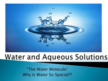 “The Water Molecule” Why is Water So Special??.  Water is very unique… SPECIAL!  Water, H 2 O, is present in all three phases here on earth which is.