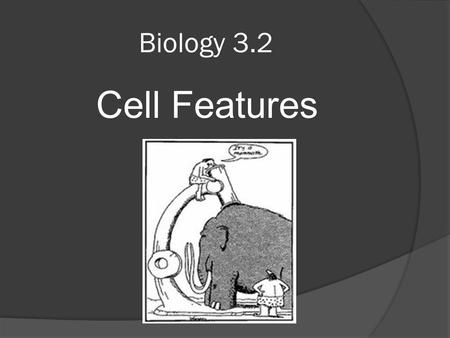 Biology 3.2 Cell Features. The Cell Theory  In 1838, the German botanist Mattias Schleiden concluded that cells make up not only the stems of plants.
