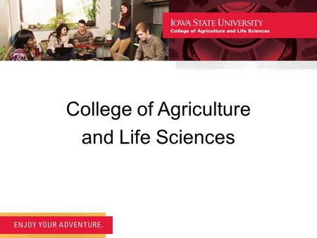 College of Agriculture and Life Sciences. Overview Orientation consists of a university segment, a college segment and a departmental segment. In this,