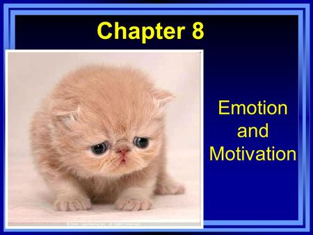 Copyright © Allyn & Bacon 2007 Chapter 8 Emotion and Motivation.