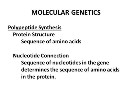 MOLECULAR GENETICS Polypeptide Synthesis Protein Structure Sequence of amino acids Nucleotide Connection Sequence of nucleotides in the gene determines.