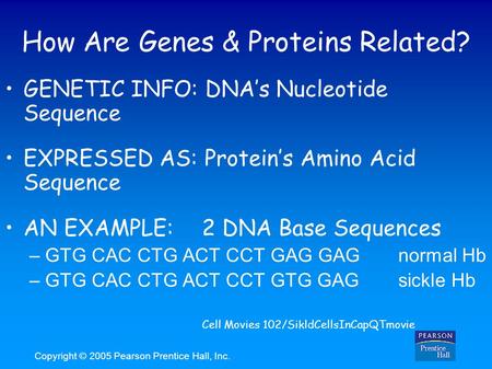 How Are Genes & Proteins Related?