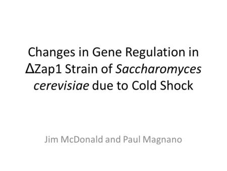 Changes in Gene Regulation in Δ Zap1 Strain of Saccharomyces cerevisiae due to Cold Shock Jim McDonald and Paul Magnano.