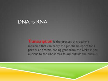 DNA TO RNA Transcription is the process of creating a molecule that can carry the genetic blueprint for a particular protein coding gene from the DNA.