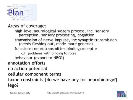 Sunday, July 22, 2012 Plan Areas of coverage: high-level neurological system process, inc. sensory perception, sensory processing, cognition transmission.