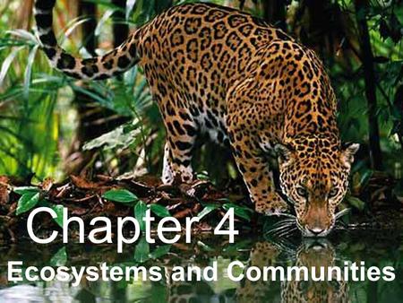 Ecosystems and Communities Chapter 4. 4–1 The Role of Climate.