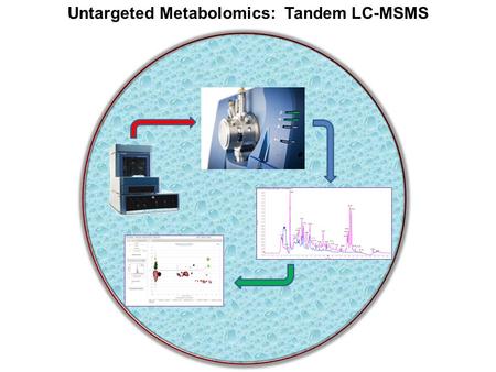 Untargeted Metabolomics: Tandem LC-MSMS. Column and Flow Rate Selection Insert Barnes table for flow rates and sensitivity gain. Reverse Phase and Normal.