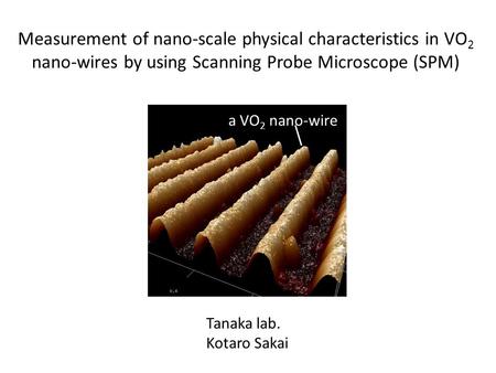 Measurement of nano-scale physical characteristics in VO 2 nano-wires by using Scanning Probe Microscope (SPM) Tanaka lab. Kotaro Sakai a VO 2 nano-wire.