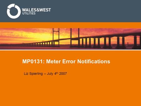 MP0131: Meter Error Notifications Liz Spierling – July 4 th 2007.