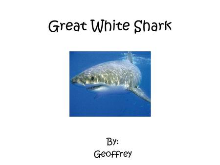 Great White Shark By: Geoffrey.