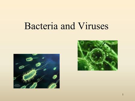 Bacteria and Viruses 1. 2 BACTERIA Bacteria - small one celled organisms  Bacteria like a warm, dark, and moist environment They are found almost everywhere: