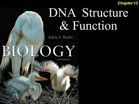DNA Structure & Function Chapter 13. DNA Structure & Function 2 Mr. Karns Genetic Material  Transformation DNA Structure  Watson and Crick DNA Replication.