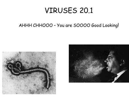 VIRUSES 20.1 AHHH CHHOOO – You are SOOOO Good Looking !