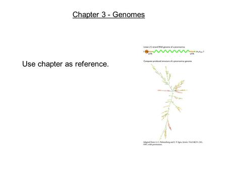 Chapter 3 - Genomes Use chapter as reference.. Chapter 4 - Virus Structure.