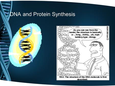 DNA and Protein Synthesis. Protein Synthesis It’s a process –DNA -> RNA -> Amino Acids (Protein)
