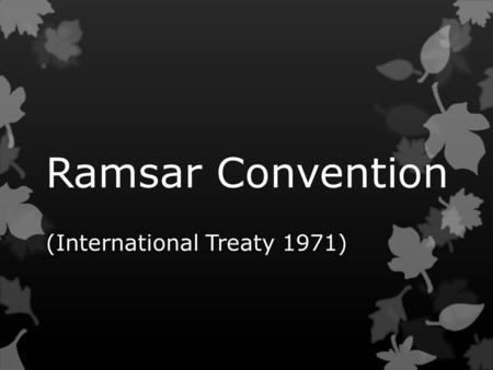 Ramsar Convention (International Treaty 1971).  The Convention on Wetlands (Ramsar, 1971) -- called the Ramsar Convention -- is an intergovernmental.