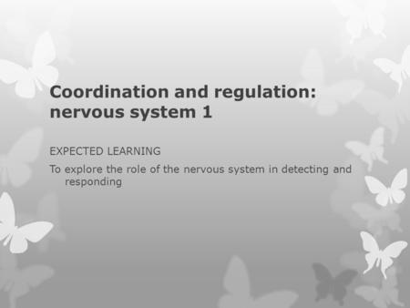 Coordination and regulation: nervous system 1