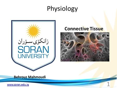 Www.soran.edu.iq Physiology Behrouz Mahmoudi Connective Tissue 1.