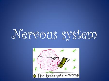 Nervous system. Nervous System The Nervous System works with other body systems to help organisms respond to stimuli. Stimuli are changes in the environment.