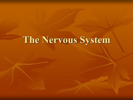 The Nervous System. Divisions of the Nervous System Nervous System Central NSPeripheral NS Afferent Efferent Somatic Autonomic Sympathetic Parasympathetic.