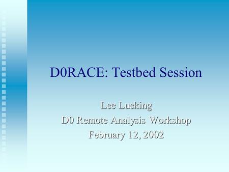 D0RACE: Testbed Session Lee Lueking D0 Remote Analysis Workshop February 12, 2002.