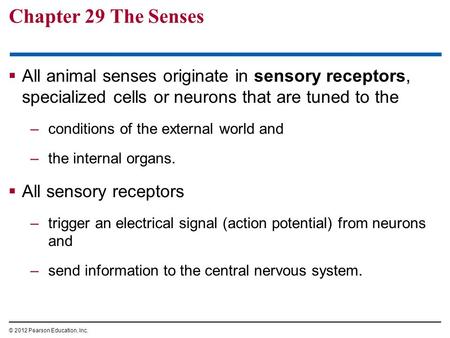 Chapter 29 The Senses  All animal senses originate in sensory receptors, specialized cells or neurons that are tuned to the –conditions of the external.