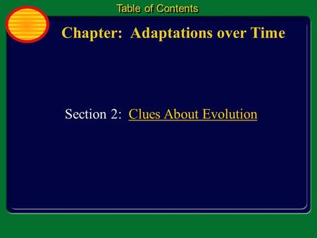 Chapter: Adaptations over Time