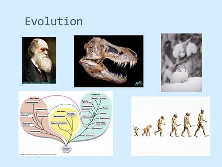 Evolution. Reminder  Read chapter 22  Darwin, Lamarck, Lyell, and Wallace  Resistance to evolution  Pre-Darwin views  On The Origin of Species by.