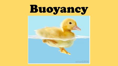 Buoyancy. Buoyancy means to _______________. float.