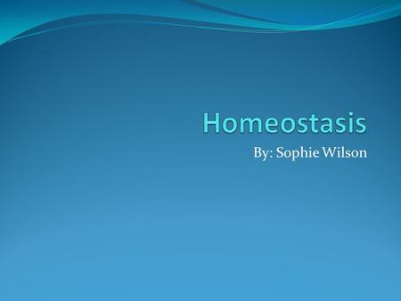 By: Sophie Wilson. What is Homeostasis? Homeostasis are the changes in an organism so that it can maintain a stable living environment for itself. Homeostasis.