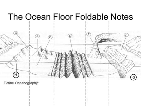 The Ocean Floor Continental Slope Volcanic Island Continental