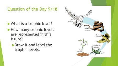 Question of the Day 9/18 What is a trophic level?