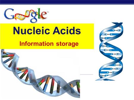 Regents Biology Nucleic Acids Information storage.