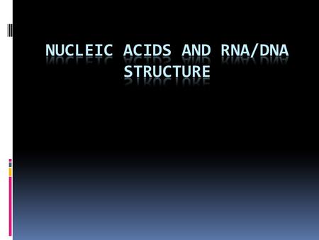 Nucleic Acid Structure Nitrogenous Bases (Nucleosides)