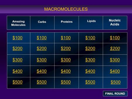 MACROMOLECULES $100 $200 $300 $400 $500 $100$100$100 $200 $300 $400 $500 Amazing Molecules Carbs Lipids Nucleic Acids FINAL ROUND Proteins.