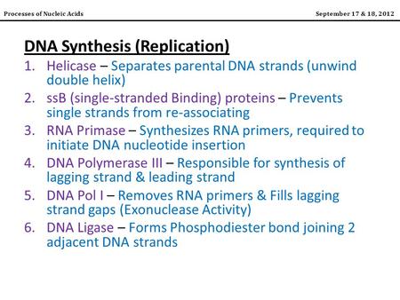 Processes of Nucleic AcidsSeptember 17 & 18, 2012 DNA Synthesis (Replication) 1.Helicase – Separates parental DNA strands (unwind double helix) 2.ssB (single-stranded.