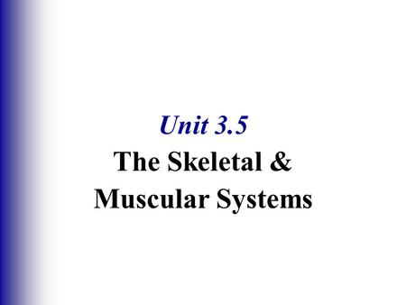 Unit 3.5 The Skeletal & Muscular Systems. Functions of Bones  Support of the body  Protection of soft organs  Movement due to attached skeletal muscles.