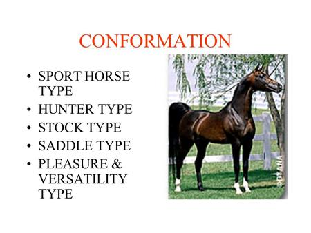 CONFORMATION SPORT HORSE TYPE HUNTER TYPE STOCK TYPE SADDLE TYPE PLEASURE & VERSATILITY TYPE.