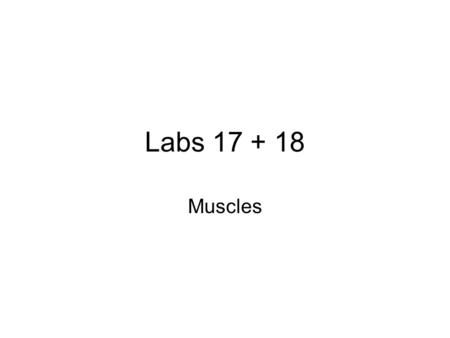 Labs 17 + 18 Muscles. Bone Practical Wed 8am 40 – 50 stations About half axial, half appendicular bones Disarticulated bones: Skulls, partial skulls,