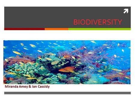  BIODIVERSITY Miranda Amey & Ian Cassidy. What is Biodiversity?  Biodiversity is the variety of life in the world or in a particular habitat or ecosystem.