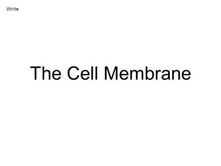 The Cell Membrane Write. Cell Membrane The membrane of the cell has many different names. You may hear it called: The phospholipid bilayer The semi-permeable.
