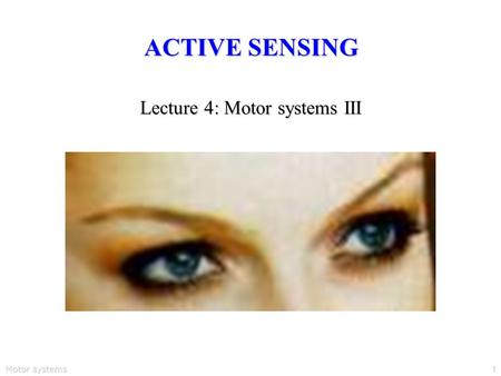 Motor systems1 ACTIVE SENSING Lecture 4: Motor systems III.