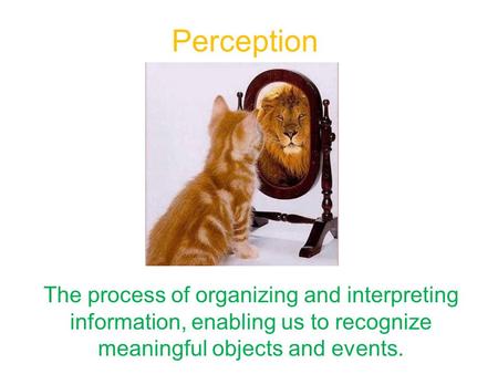 Perception The process of organizing and interpreting information, enabling us to recognize meaningful objects and events.