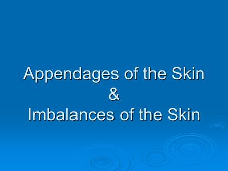 Appendages of the Skin & Imbalances of the Skin. Hair  Purpose of Hair Guards the head against bumps Guards the head against bumps Shields the eyes Shields.