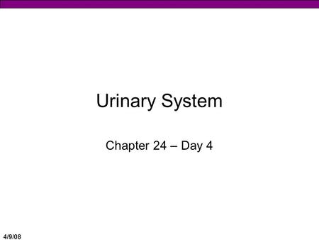 4/9/08 Urinary System Chapter 24 – Day 4. 4/9/08 Renal Failure  Decrease or increase in normal renal function  Acute & Chronic – discussed in next few.